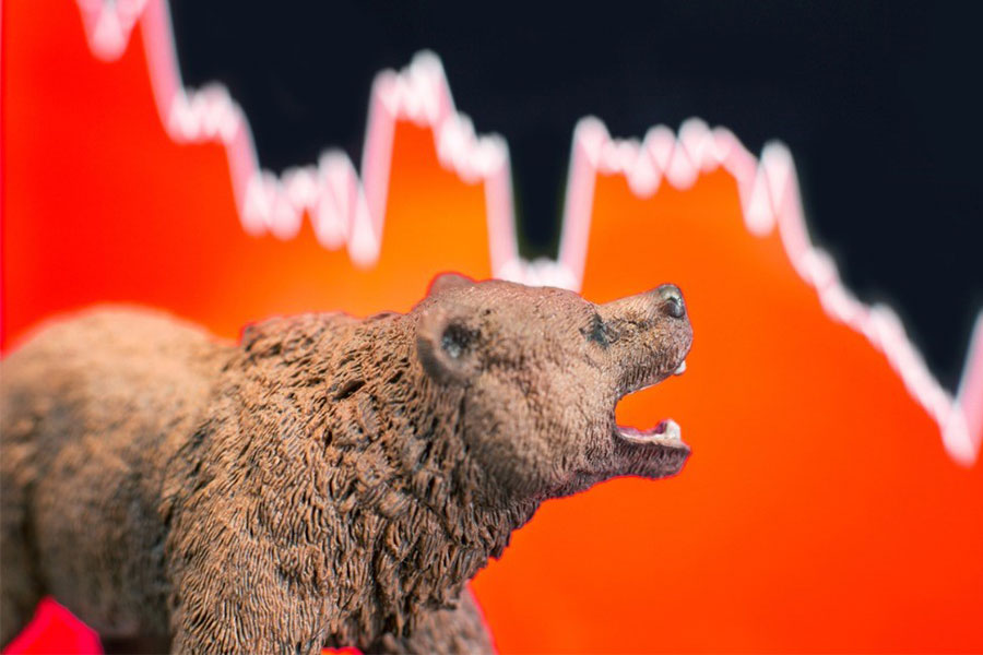 Bear Market