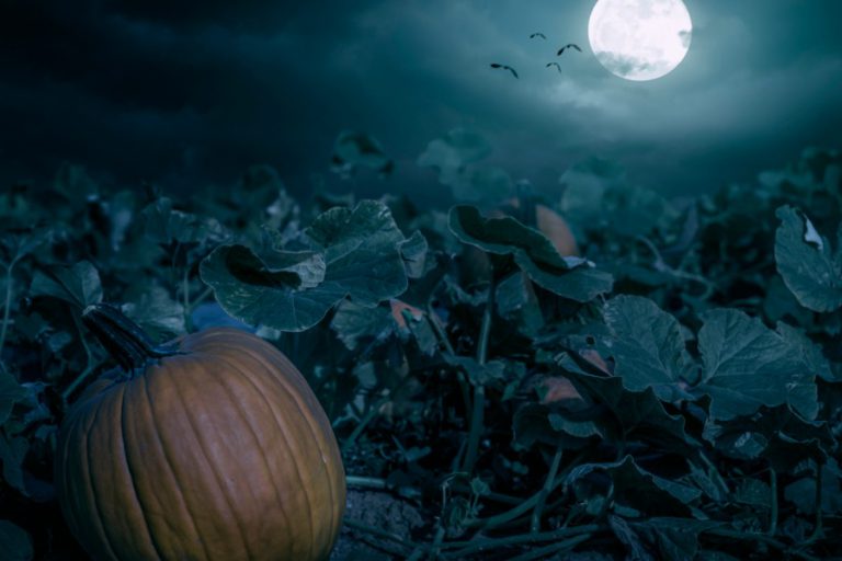The September Effect on the Markets
