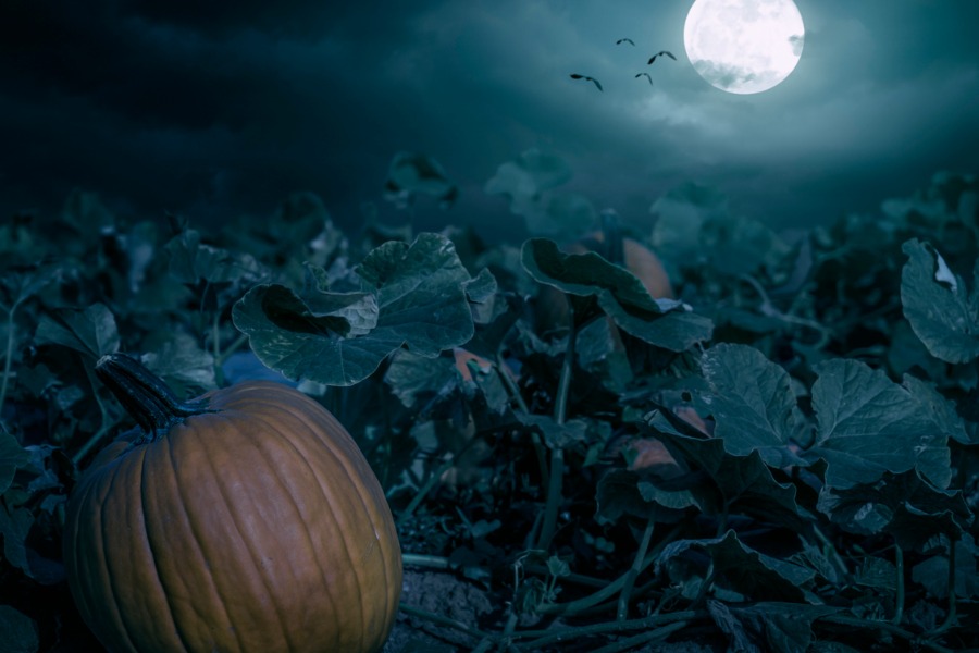 The September Effect on the Markets