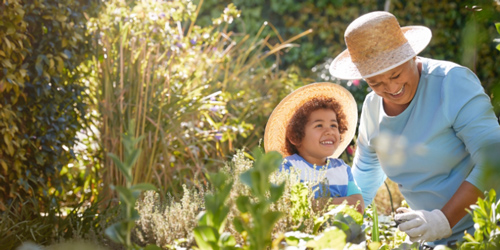 Transitioning Into Retirement