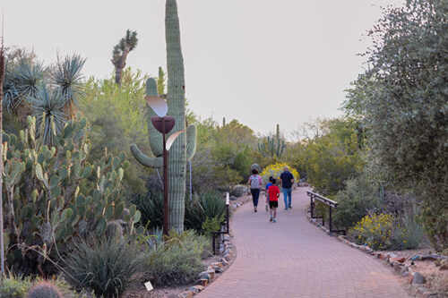 Estate Planning in Scottsdale