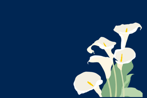 How to Settle Your Parents' $1M+ Estate