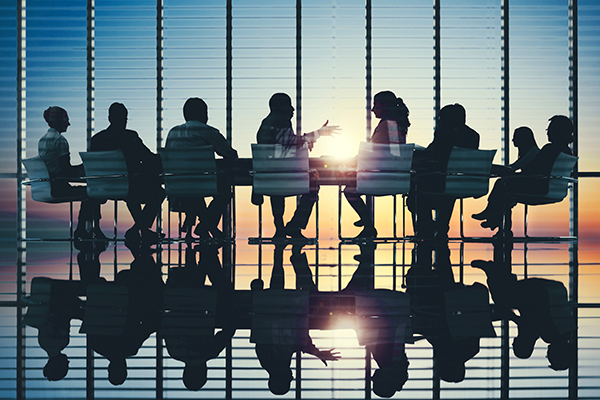 executive board of a public or private company