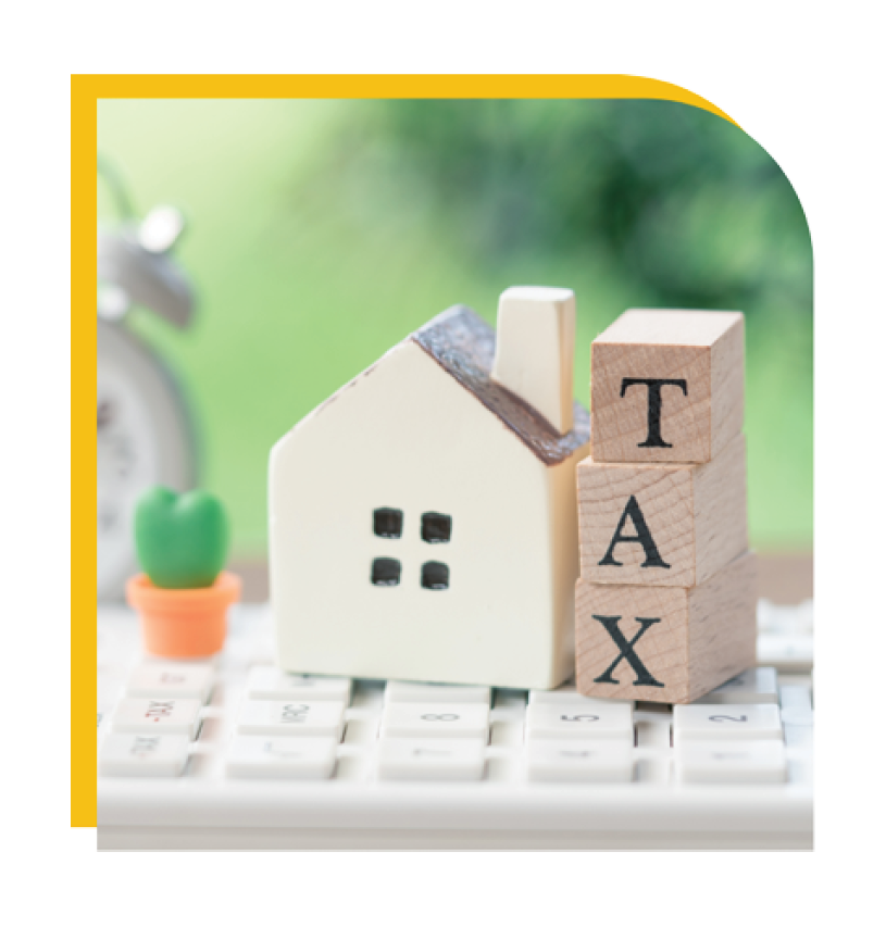 Tax_University-Professionals_611 x 640