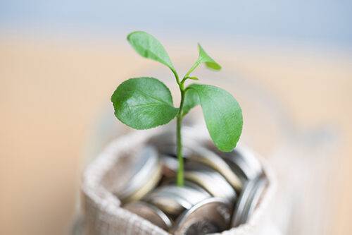 Pre-Tax vs. Roth 401(k)