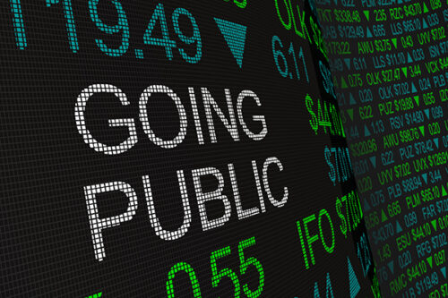 Investor's guide to IPOs